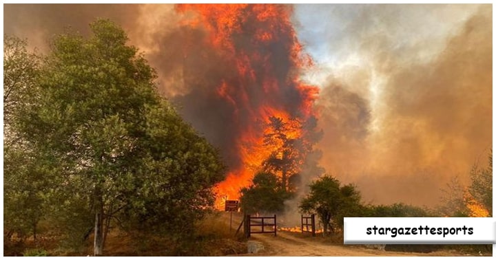 Mengguncang Hati: Tragedi Kebakaran Hutan di Chile yang Menelan Korban Jiwa dan Menyisakan Satu Orang Ditahan