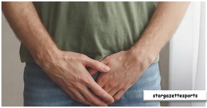 Bentuk Penis
